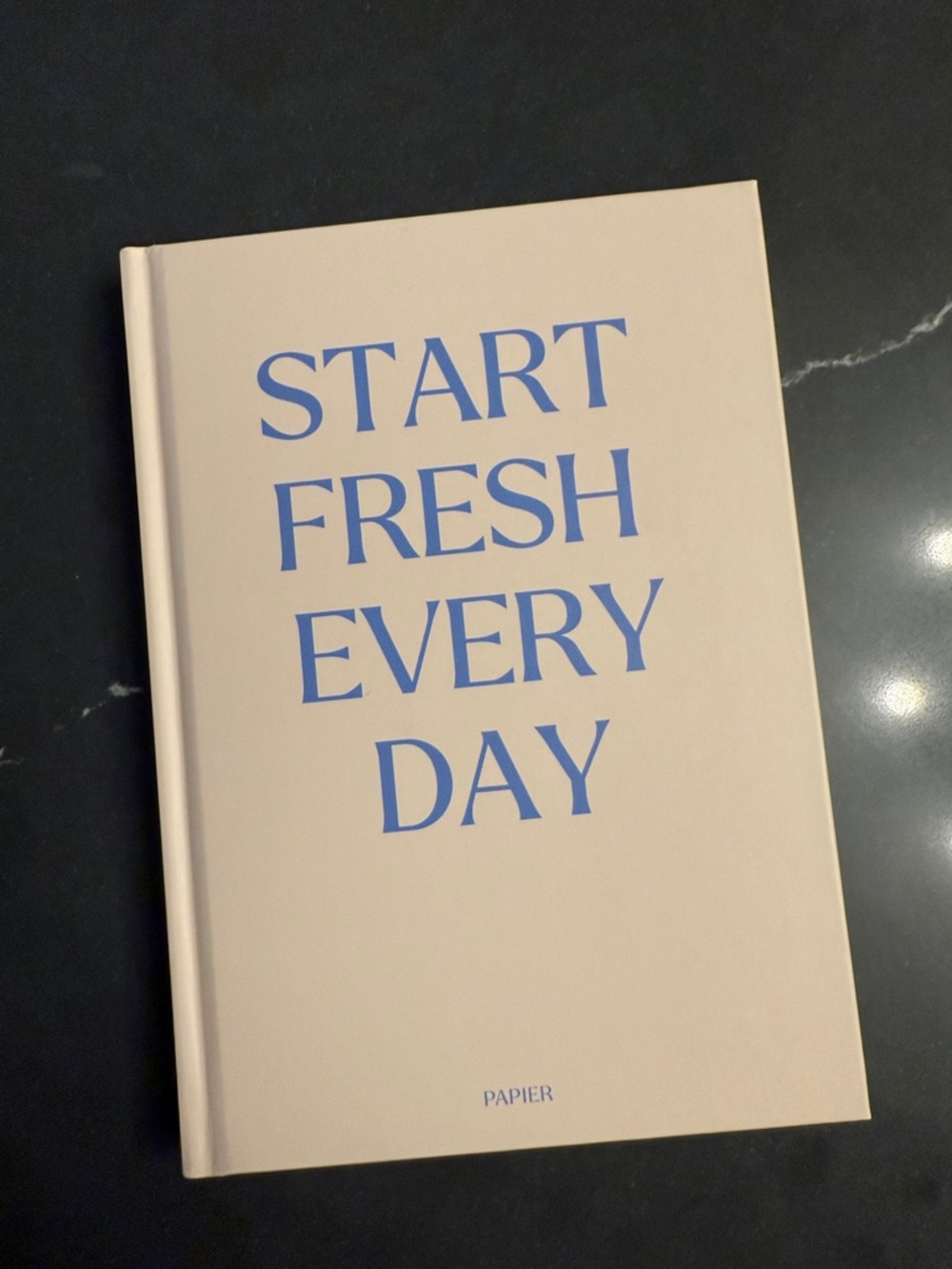 Papier Productivity Planner Undated 16 Week Goal Journal NWT Minimal Chic